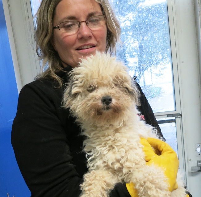puppy_mill41.JPG